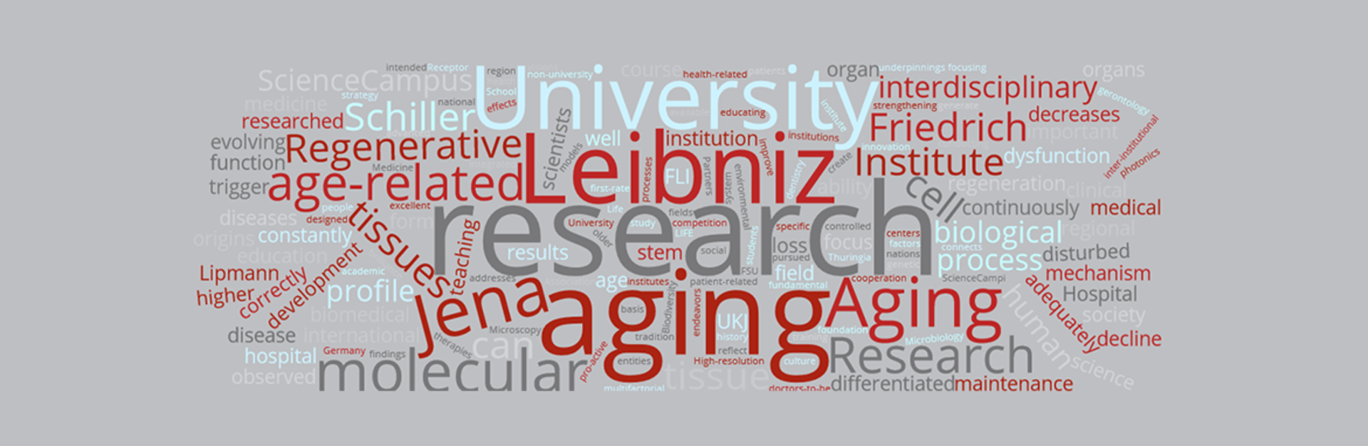 Leibniz ScienceCampus: Word Cloud